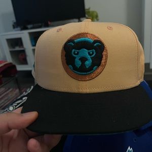 Peach Cubs Fitted Teal UV